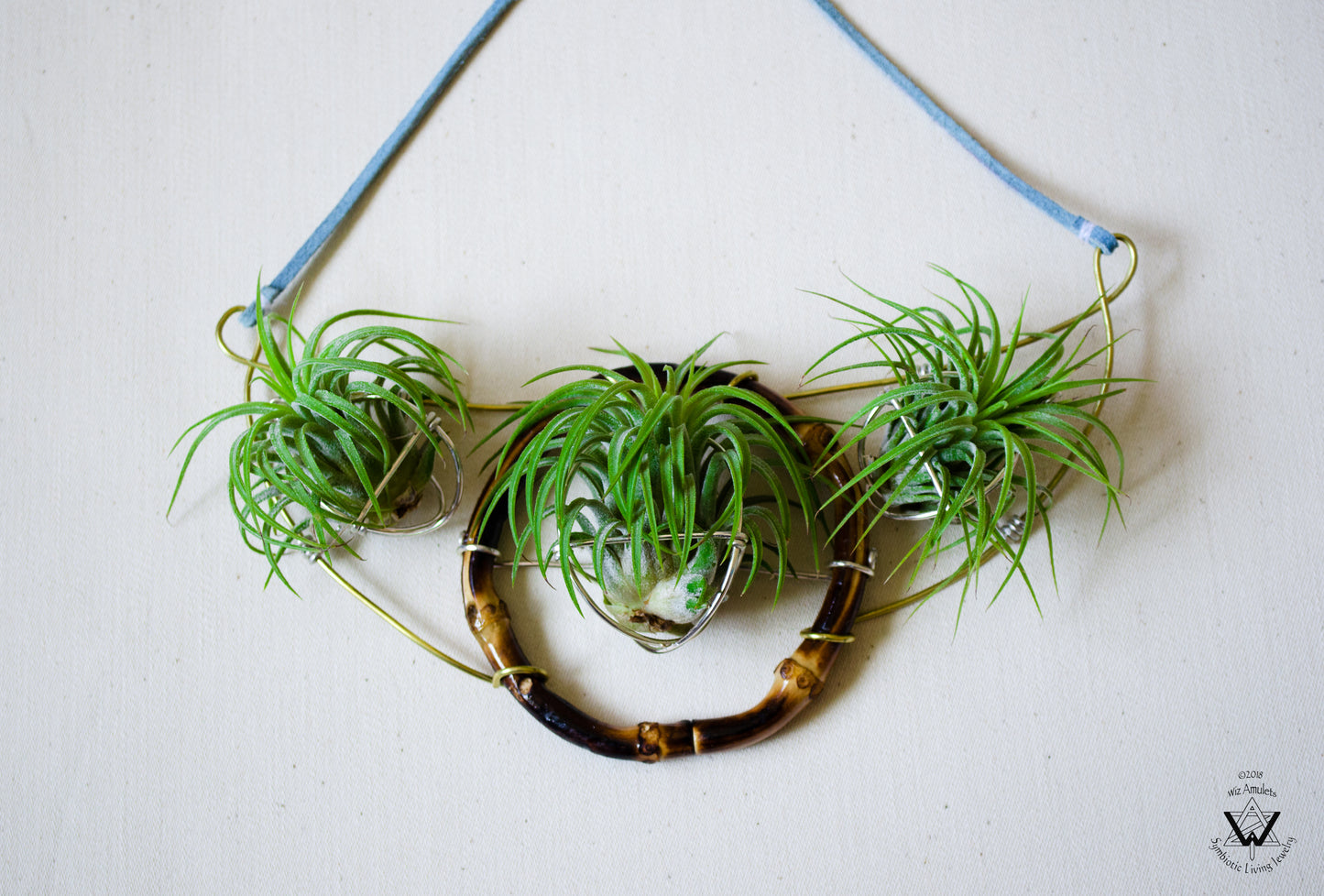 Air Plant Goddess Statement Collar Necklace ~ Warrior Bamboo Necklace