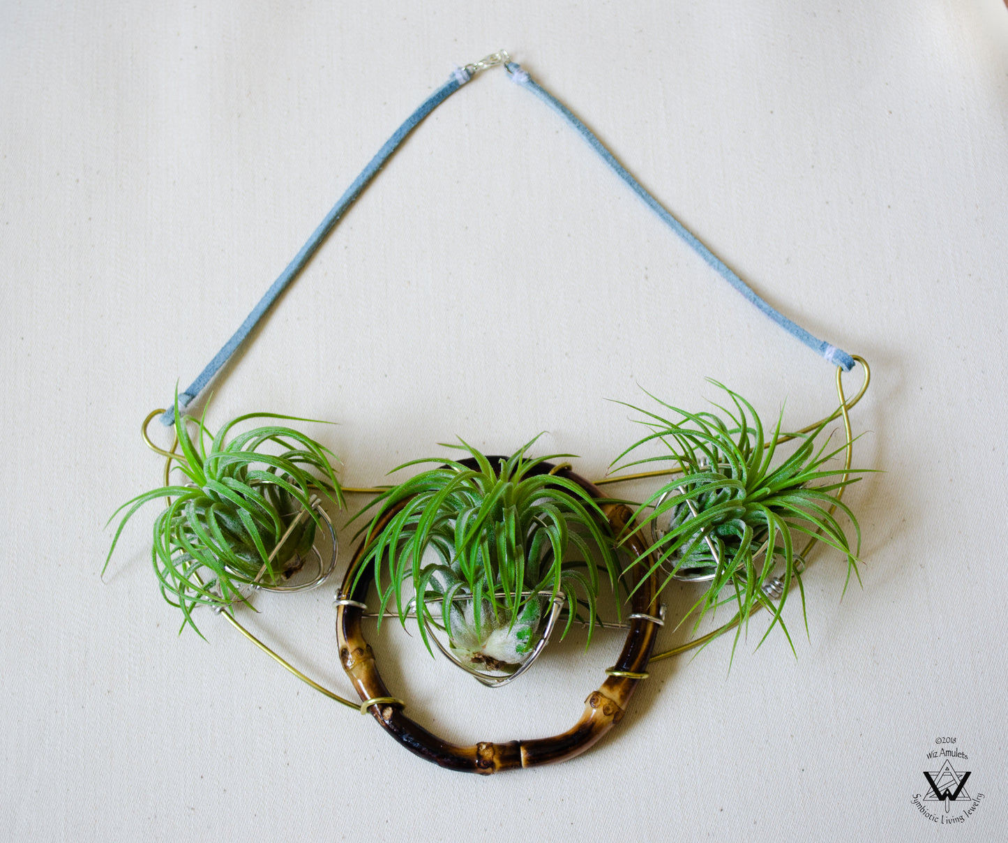 Air Plant Goddess Statement Collar Necklace ~ Warrior Bamboo Necklace
