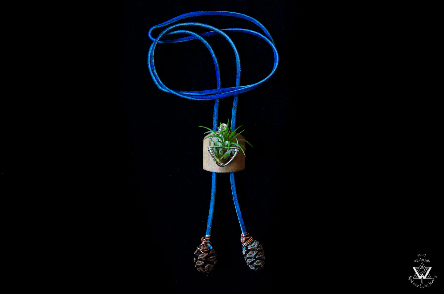 Living Air Plant Bolo Tie + Pinecone Charms