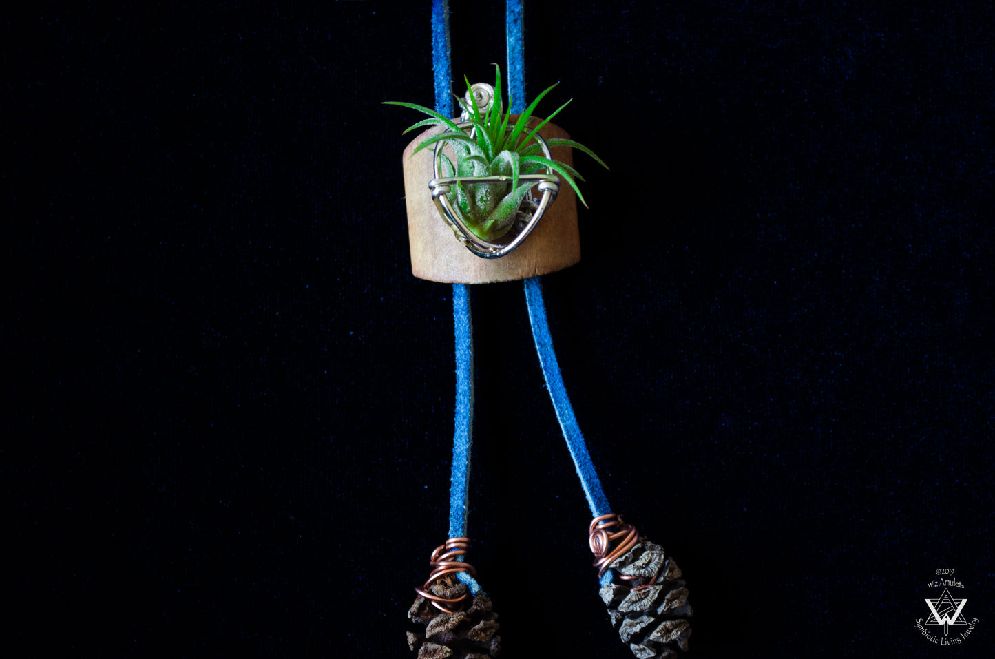 Living Air Plant Bolo Tie + Pinecone Charms
