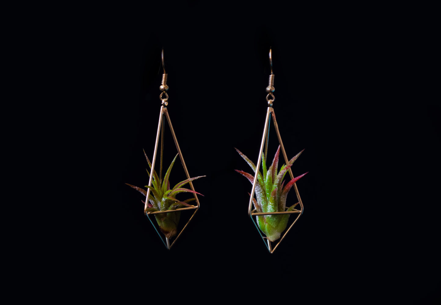 Long Diamond Air Plant Earrings ~ Minimalist Geometric Earrings