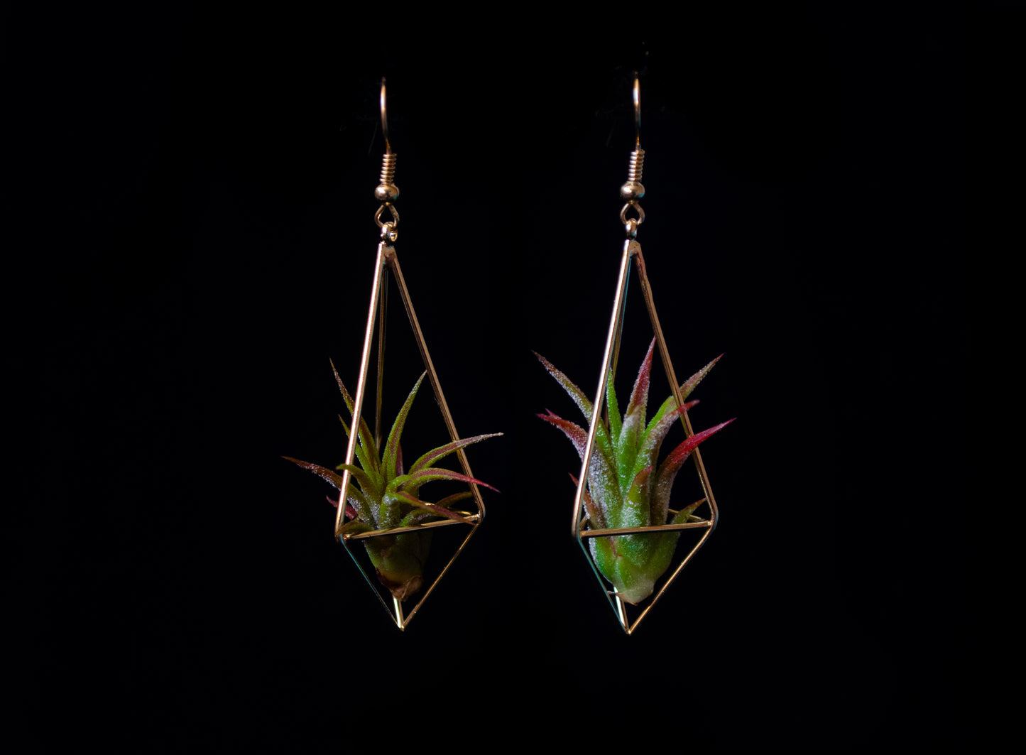 Long Diamond Air Plant Earrings ~ Minimalist Geometric Earrings