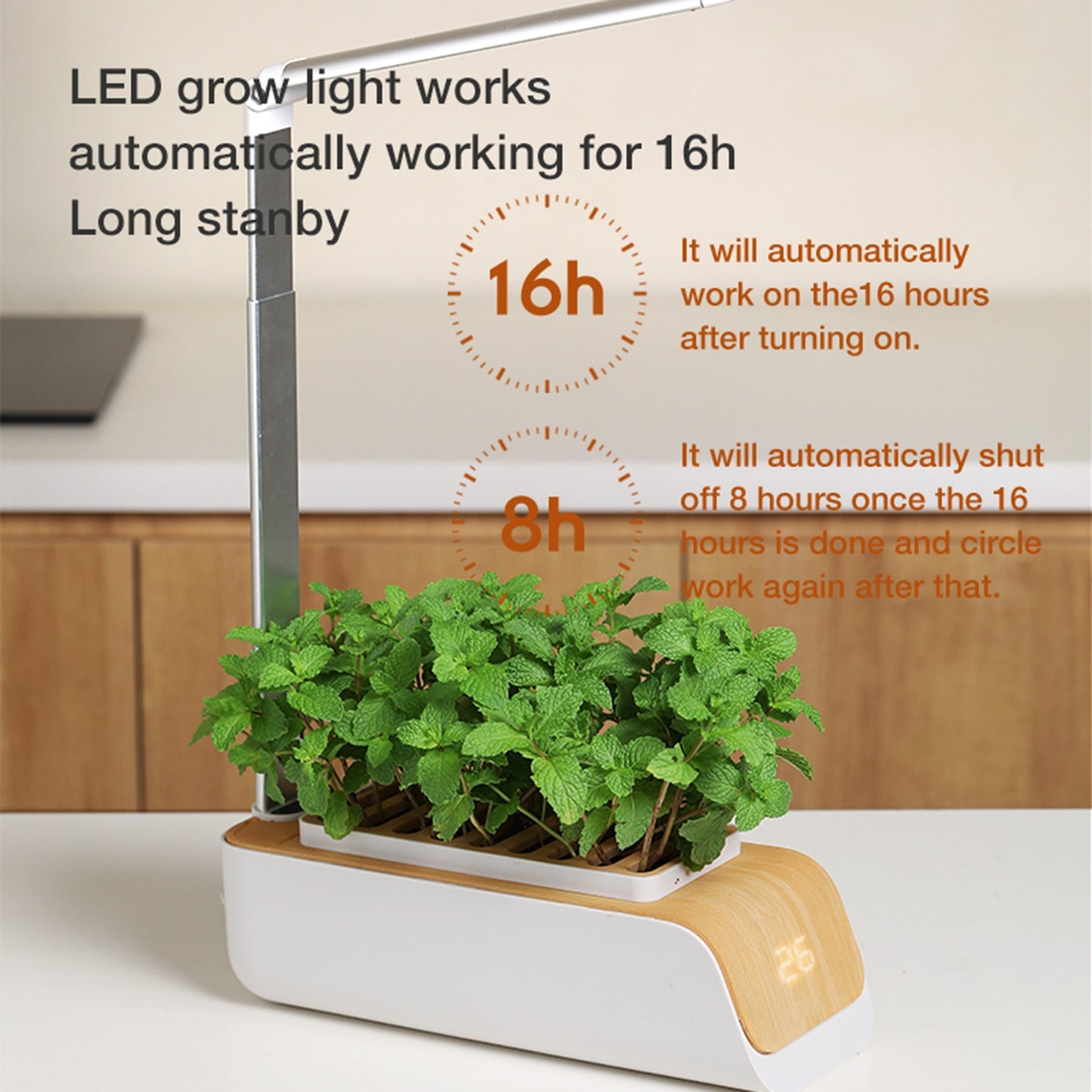 Indoor Herb Hydroponic Garden Starter Kit