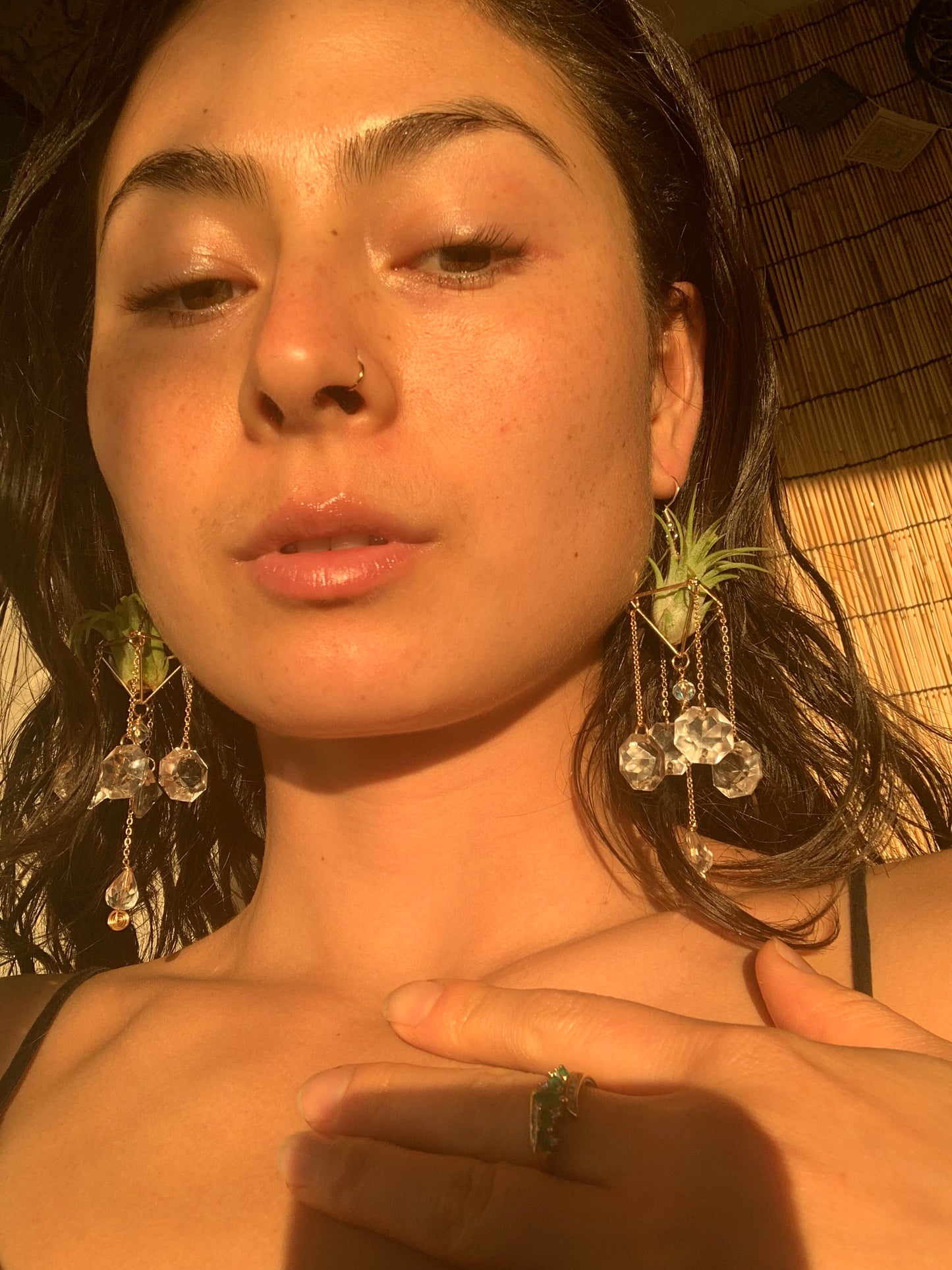 Sun Catcher Air Plant Chandelier Earrings