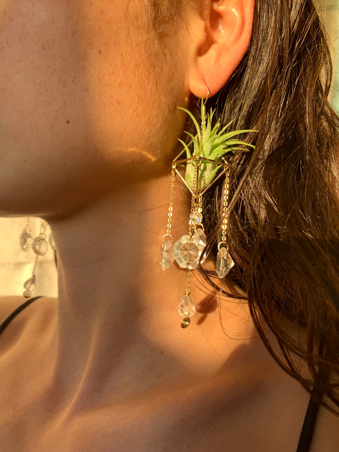 Sun Catcher Air Plant Chandelier Earrings