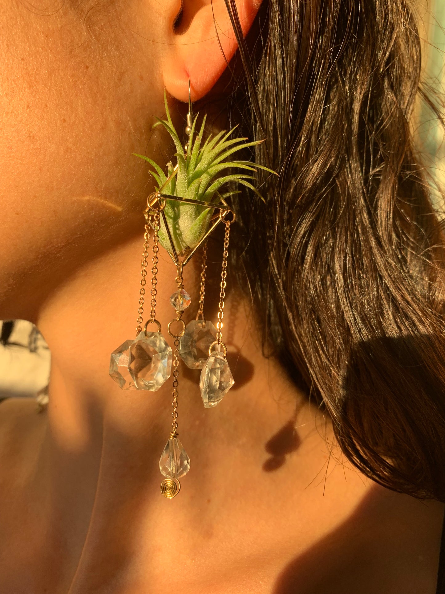 Sun Catcher Air Plant Chandelier Earrings