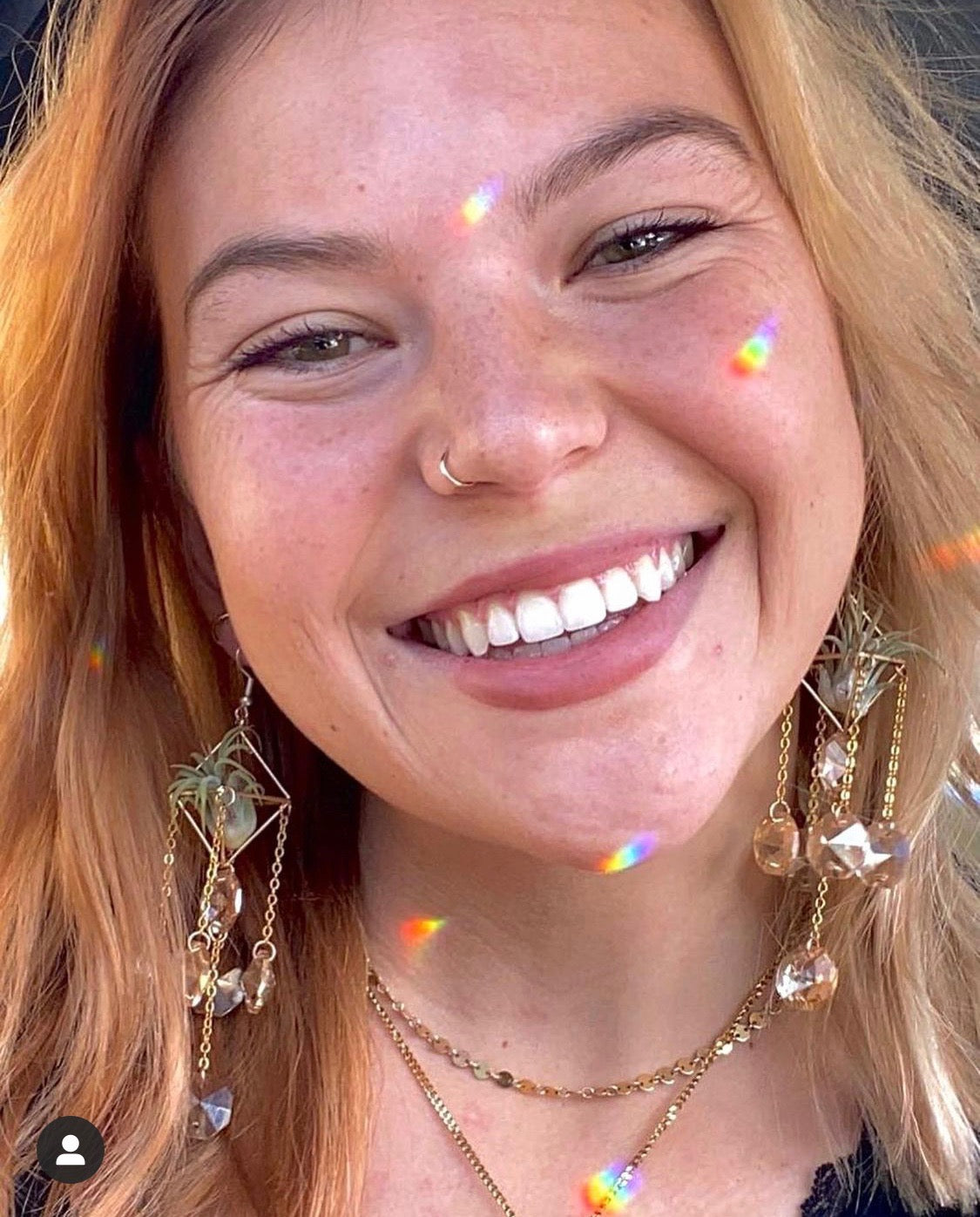 Sun Catcher Air Plant Chandelier Earrings