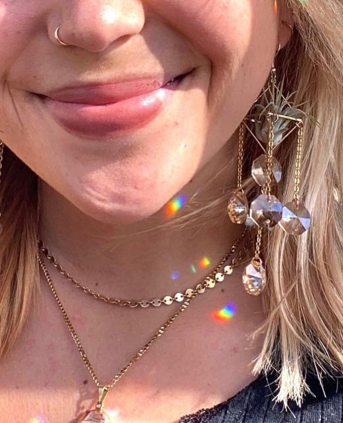 Sun Catcher Air Plant Chandelier Earrings