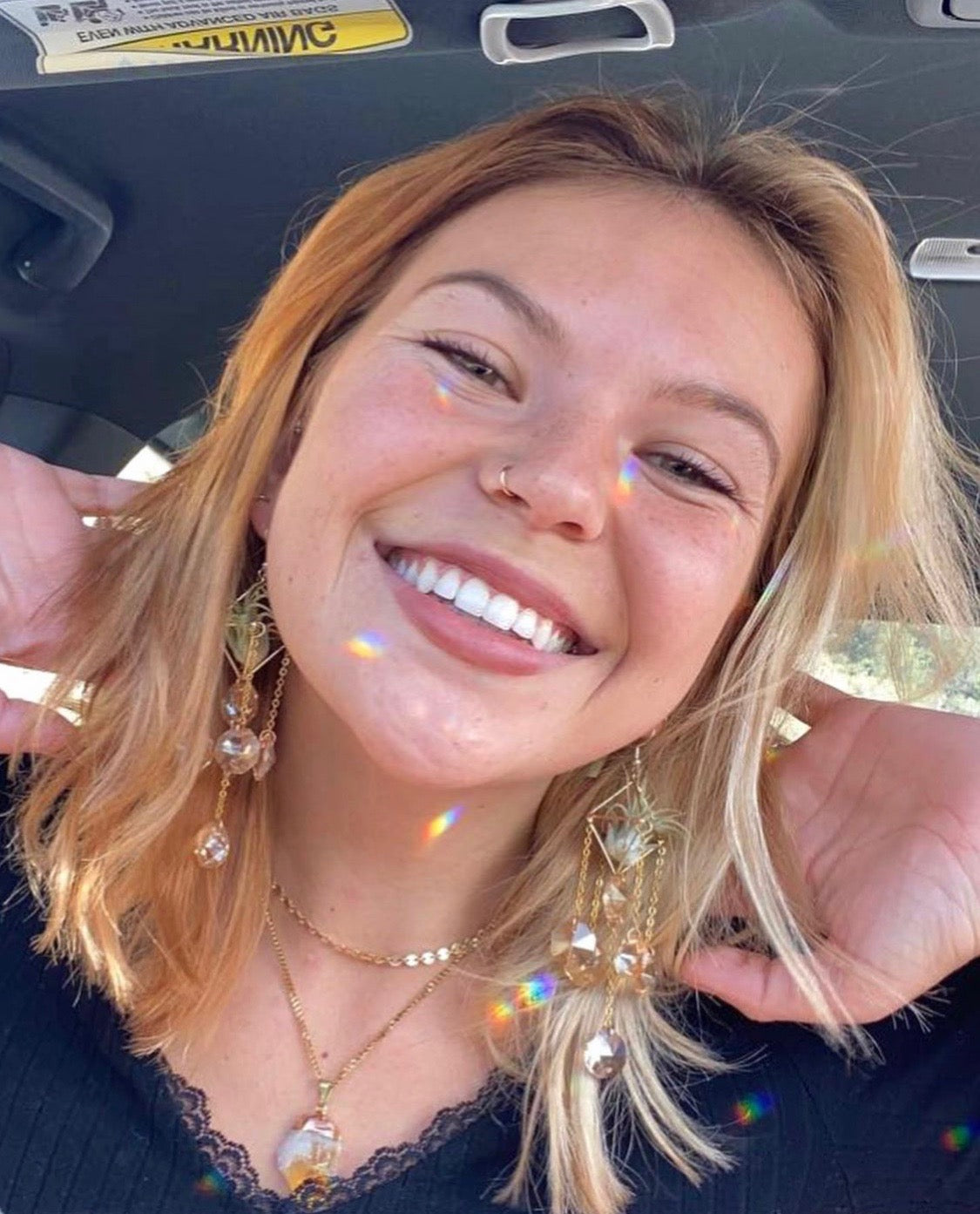 Sun Catcher Air Plant Chandelier Earrings