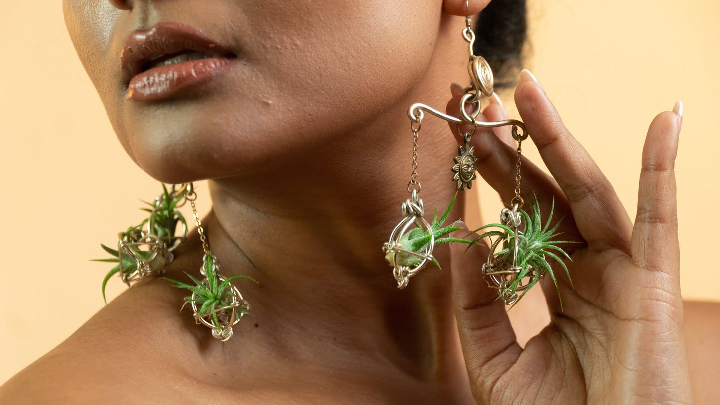 Air Plant Kinetic Mobile Chandelier Earrings