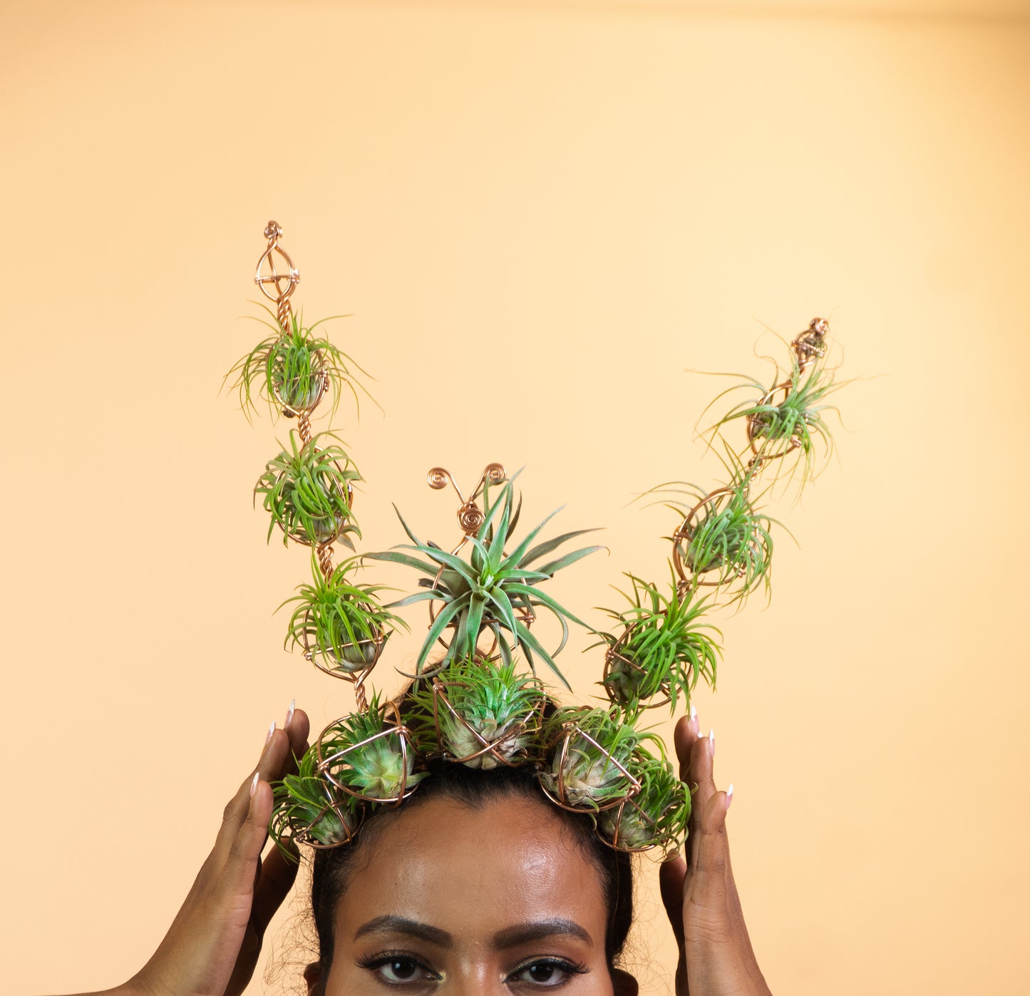 Air Plant Crown, Alien Air-lien Plant Double Antenna Crown