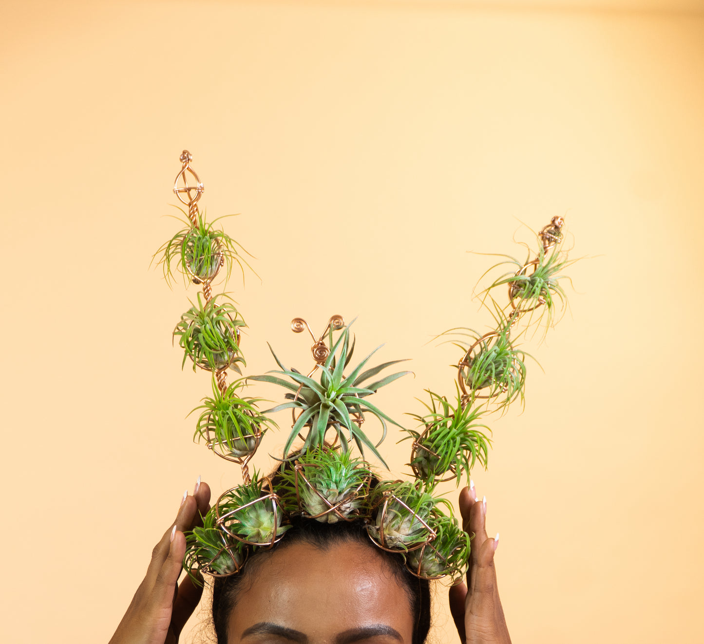 Air Plant Crown, Alien Air-lien Plant Double Antenna Crown