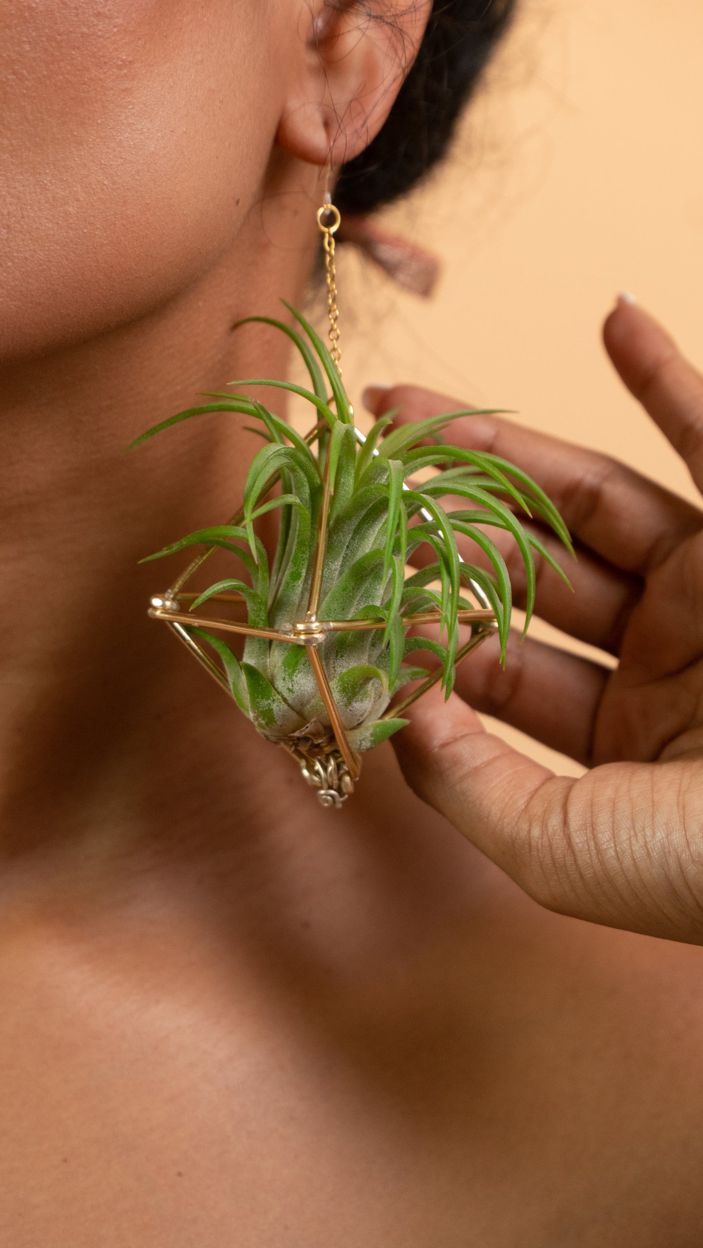 Large Diamond Air Plant Earrings - Geometric Octahedrons (Sterling Silver)