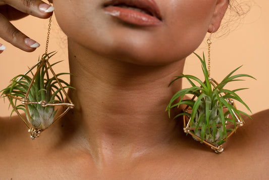 Large Diamond Air Plant Earrings - Geometric Octahedrons (Sterling Silver)