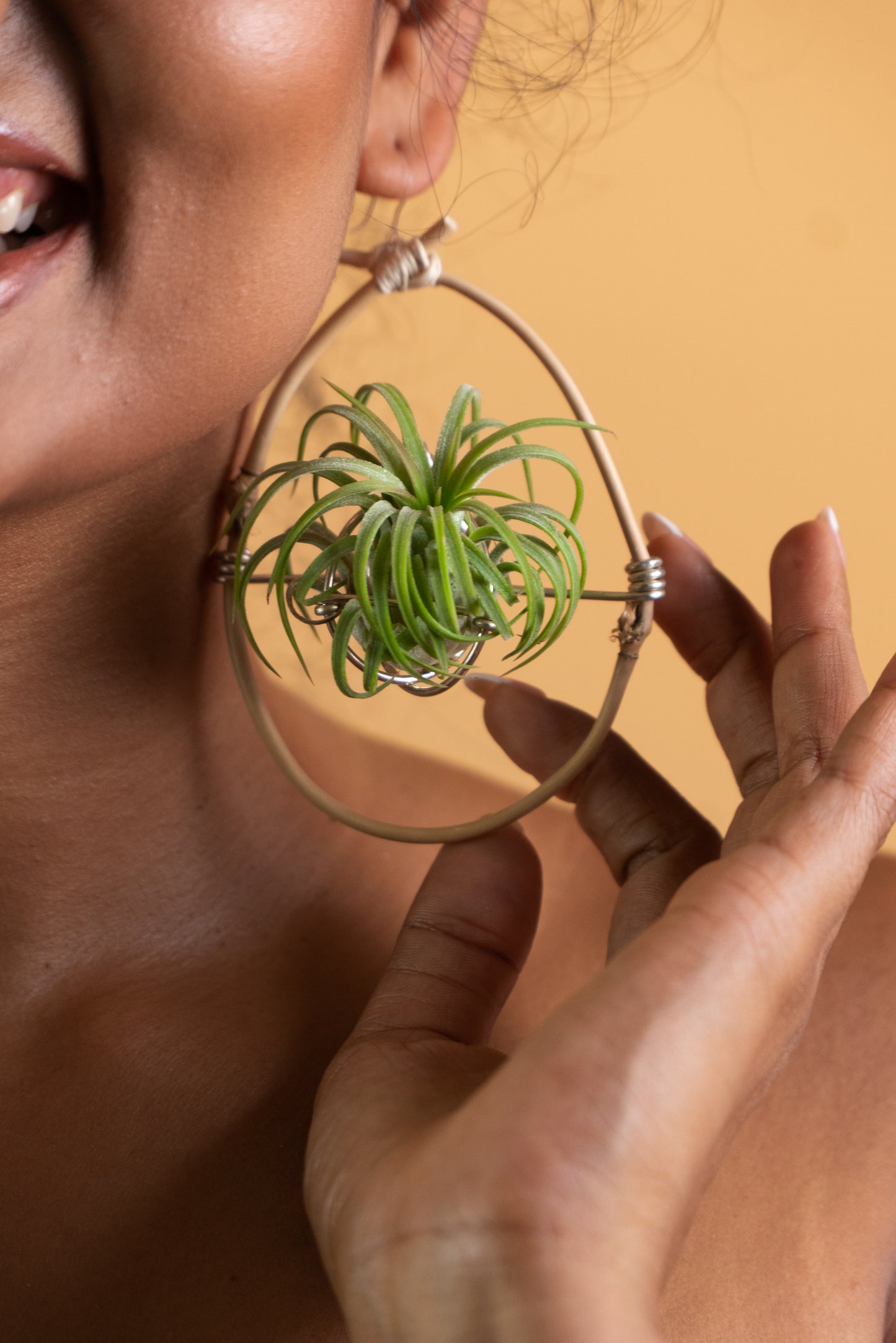 Bamboo Air Plant Organic Hoop Earrings