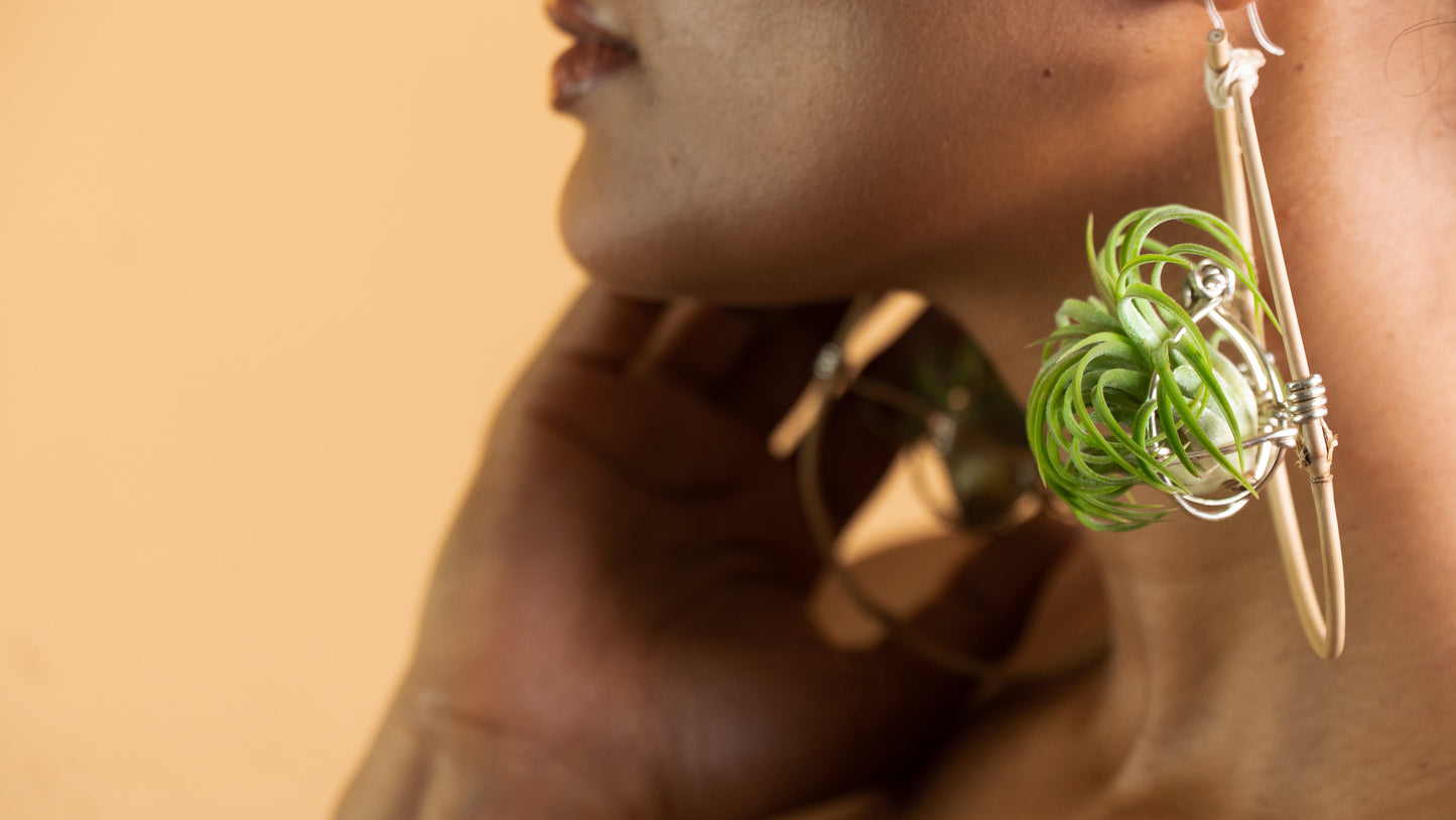 Bamboo Air Plant Organic Hoop Earrings