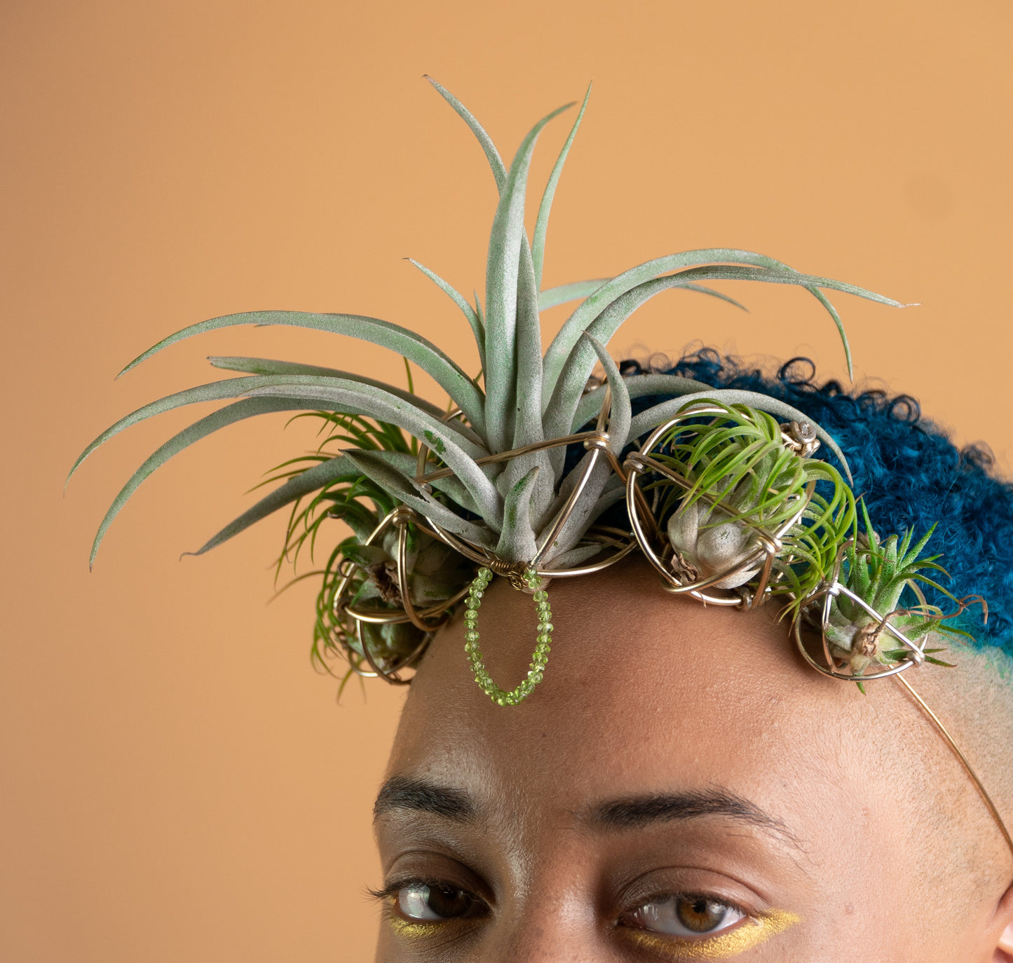 Air Plant Orb Goddess Crown ~ Living Plant Wreath Tiara