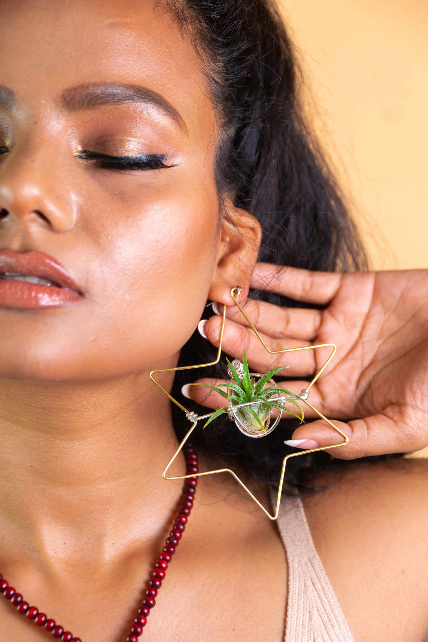 Merkaba Star & Octagon Air Plant Hoop Earrings ~ Geometric Hoops