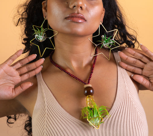 Merkaba Star & Octagon Air Plant Hoop Earrings ~ Geometric Hoops