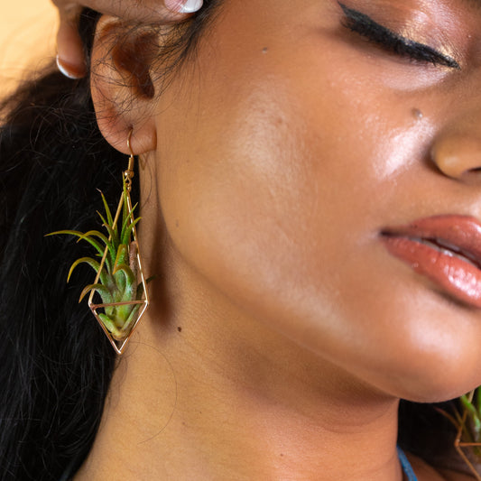 Long Diamond Air Plant Earrings ~ Minimalist Geometric Earrings