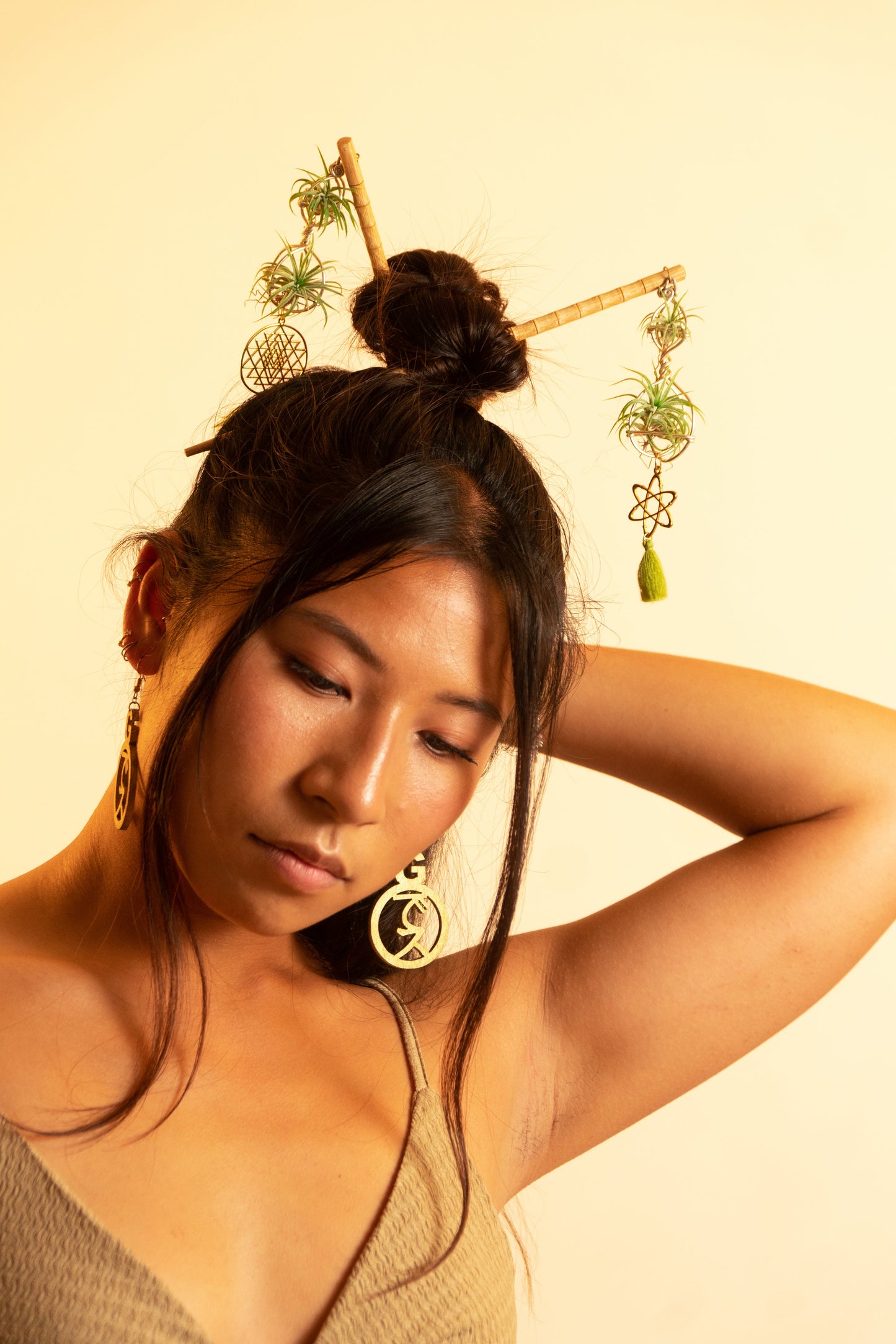 Air Plant Hair Sticks ~ Chopsticks for Hair