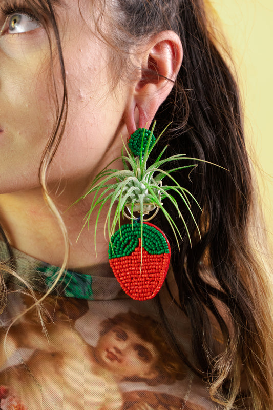 Strawberry Air Plant Earrings ~ Straw-bAiry