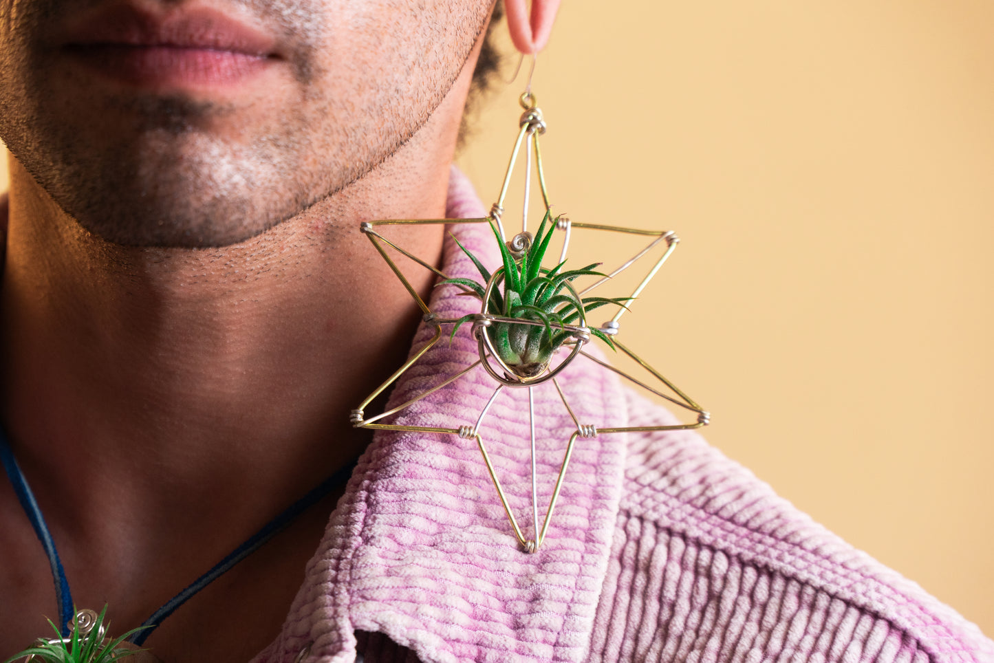 AsaNoHa Air Plant Wood Hoop Earrings Japanese Sacred Geometry Star ้บปใฎ่