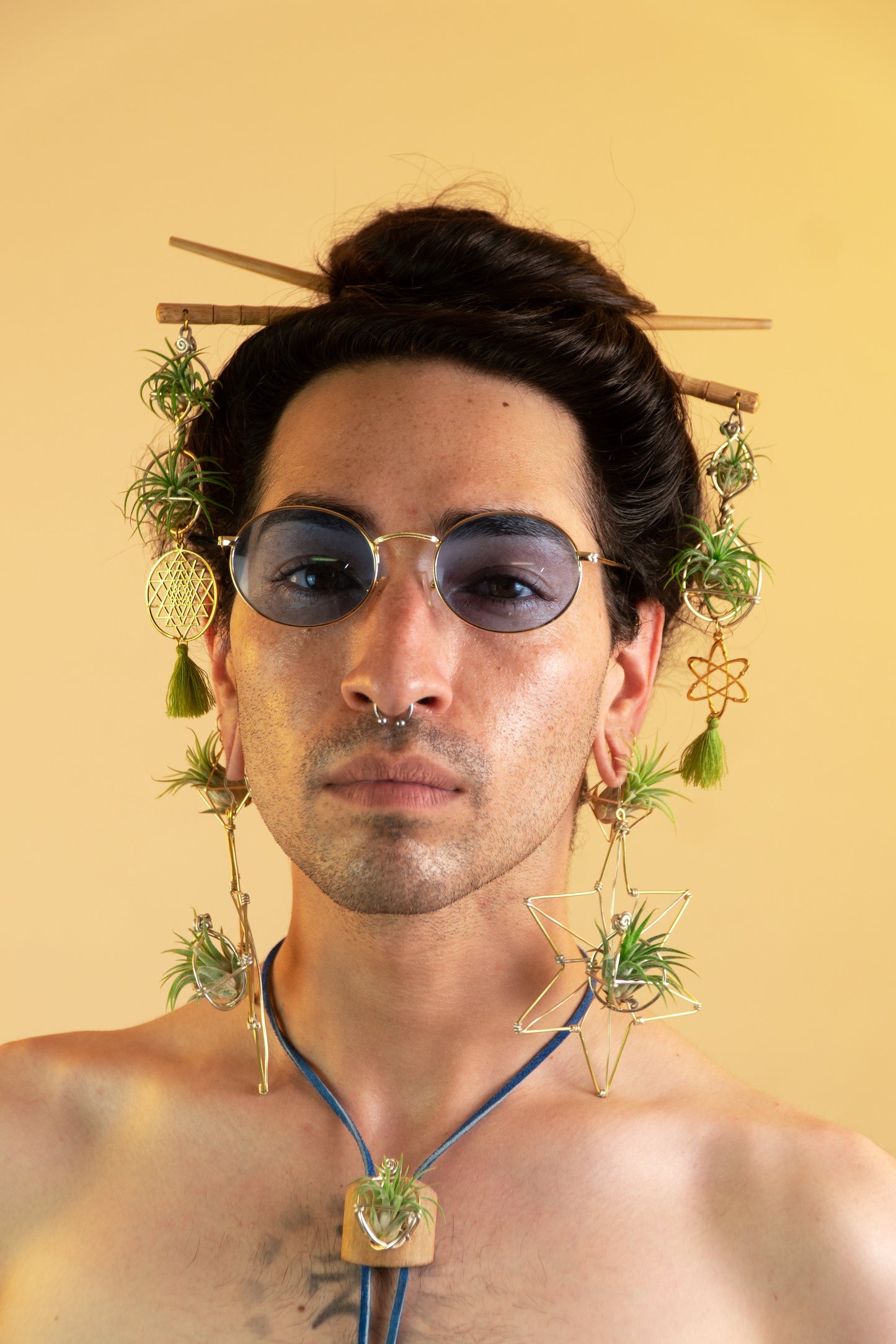 Air Plant Hair Sticks ~ Chopsticks for Hair