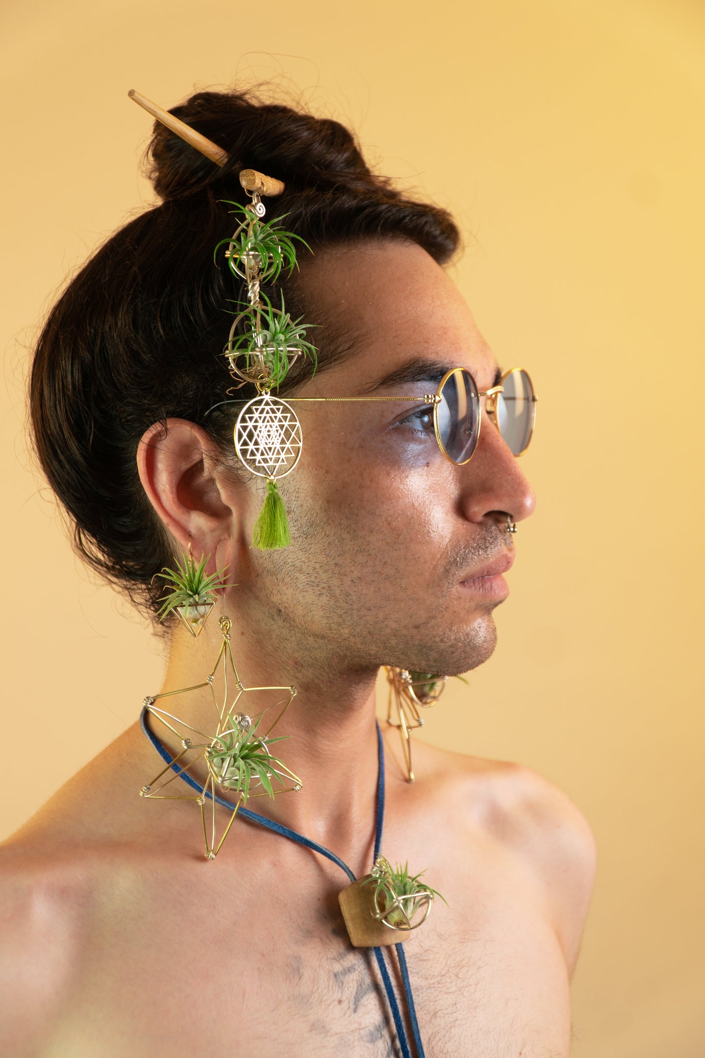 Air Plant Hair Sticks ~ Chopsticks for Hair