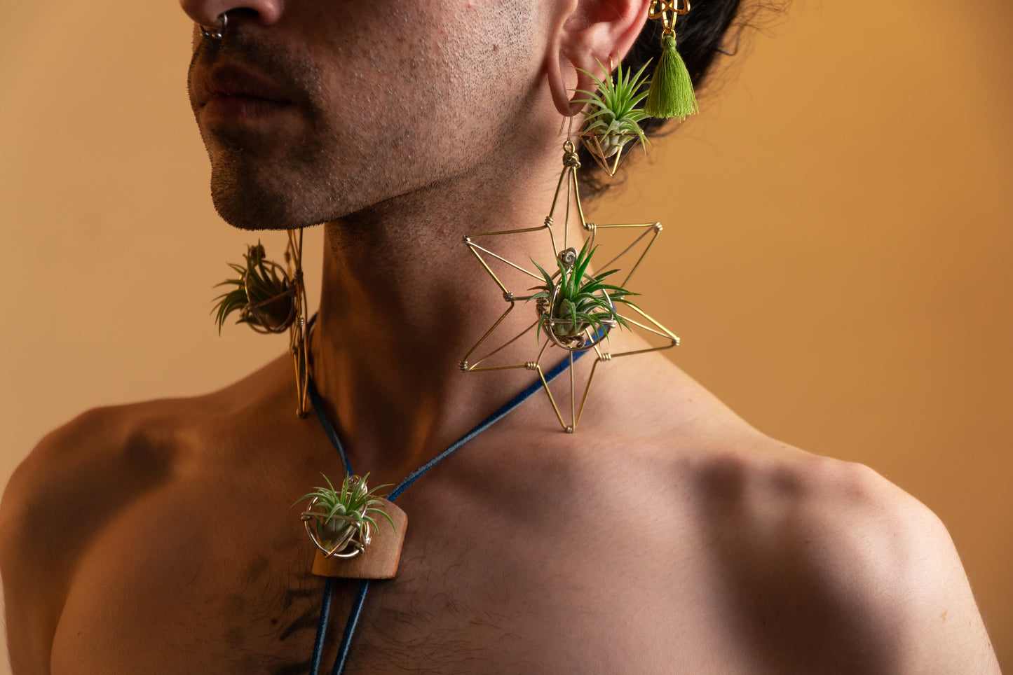 AsaNoHa Air Plant Wood Hoop Earrings Japanese Sacred Geometry Star ้บปใฎ่