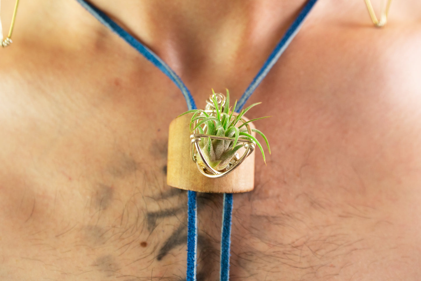Living Air Plant Bolo Tie + Pinecone Charms