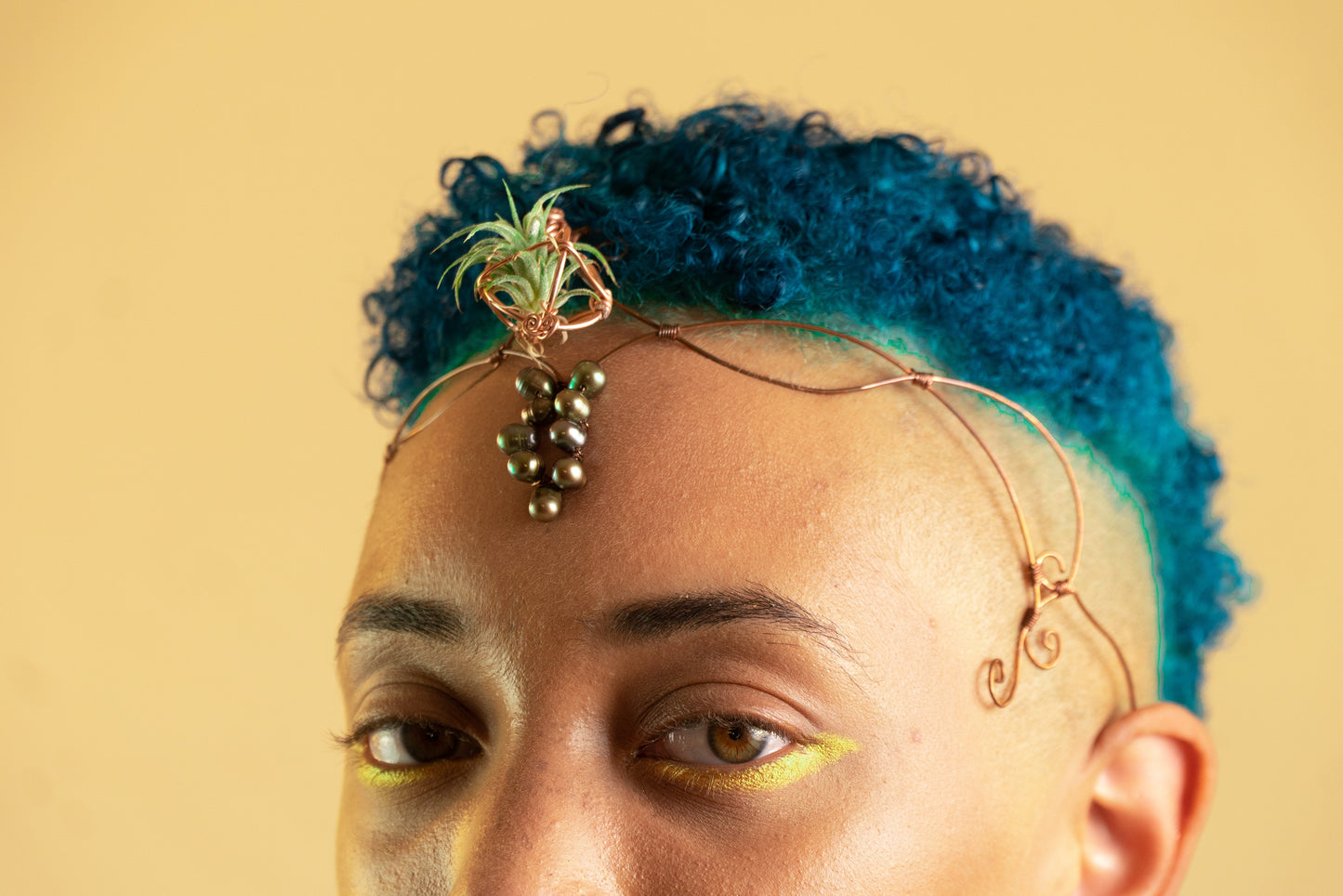 Air Plant Fairy Circlet Tiara Diadem Crown