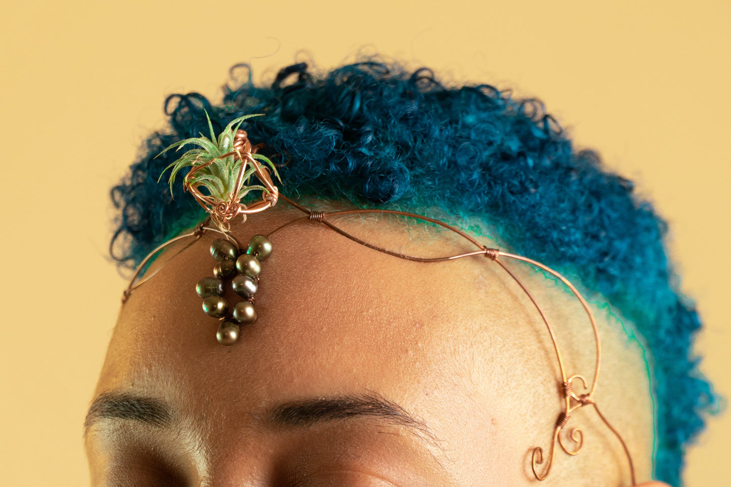 Air Plant Fairy Circlet Tiara Diadem Crown