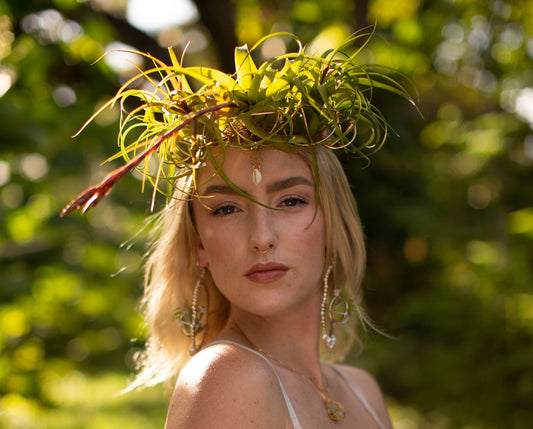 Air Plant Orb Goddess Crown ~ Living Plant Wreath Tiara