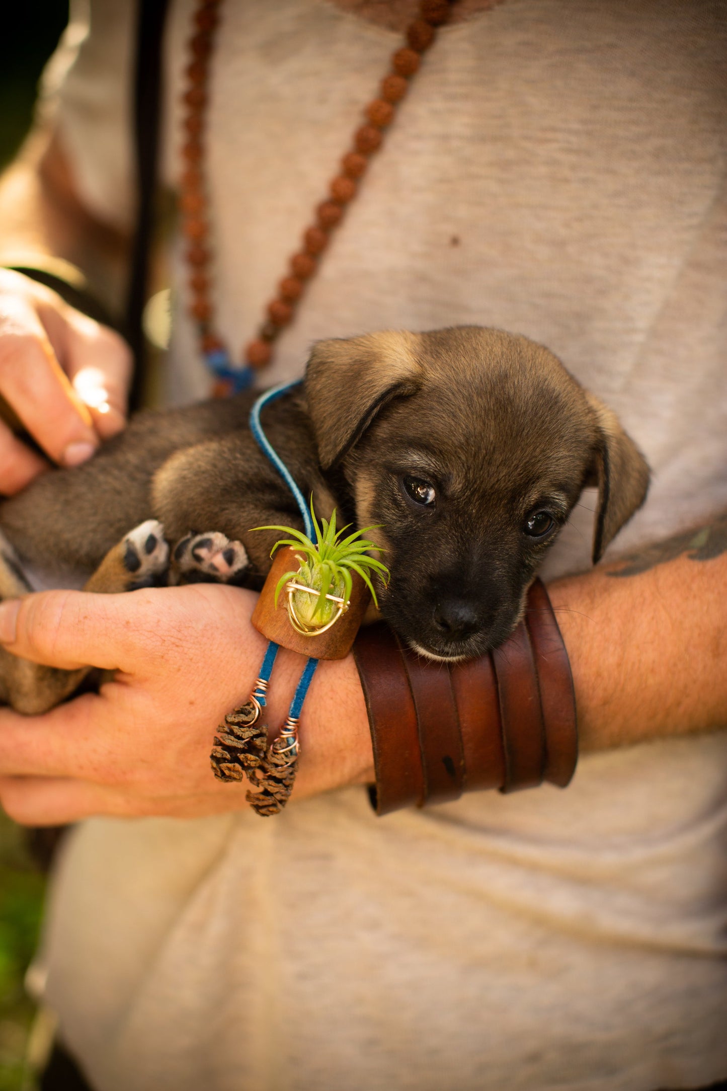 Living Air Plant Bolo Tie + Pinecone Charms