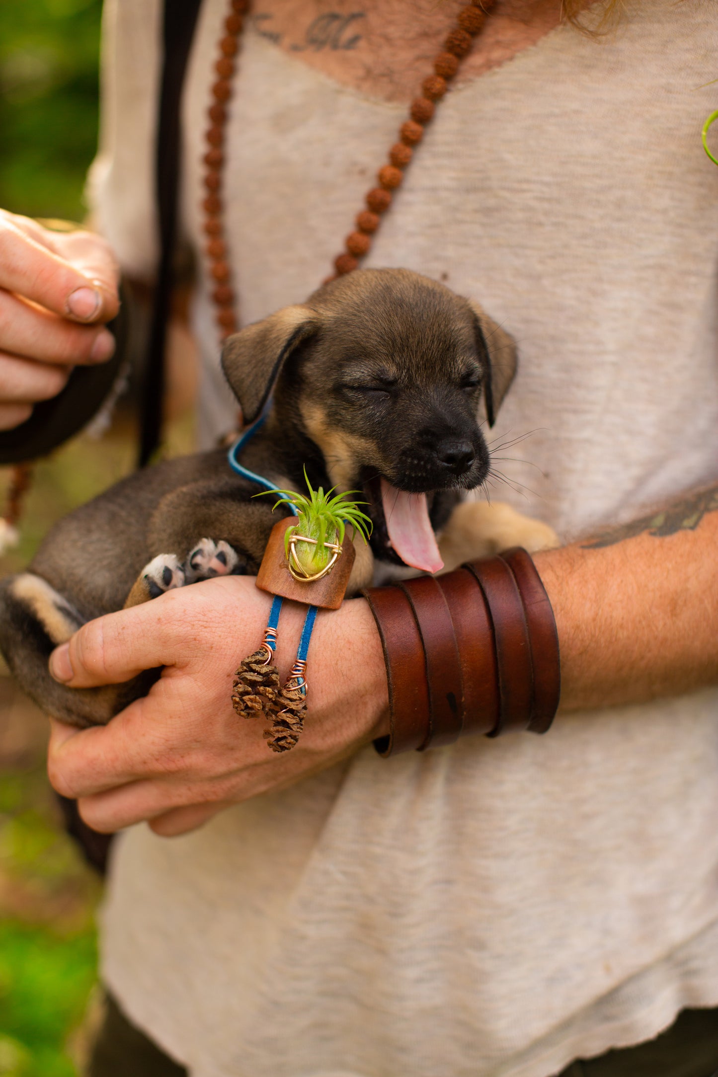 Living Air Plant Bolo Tie + Pinecone Charms