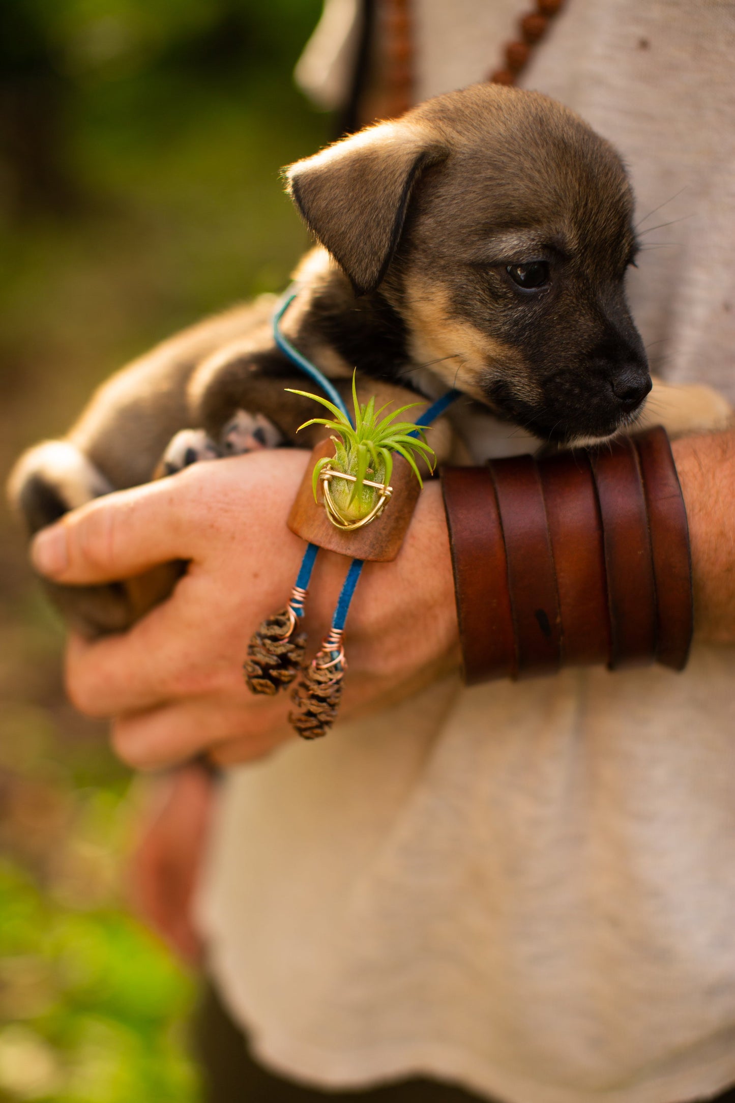 Living Air Plant Bolo Tie + Pinecone Charms