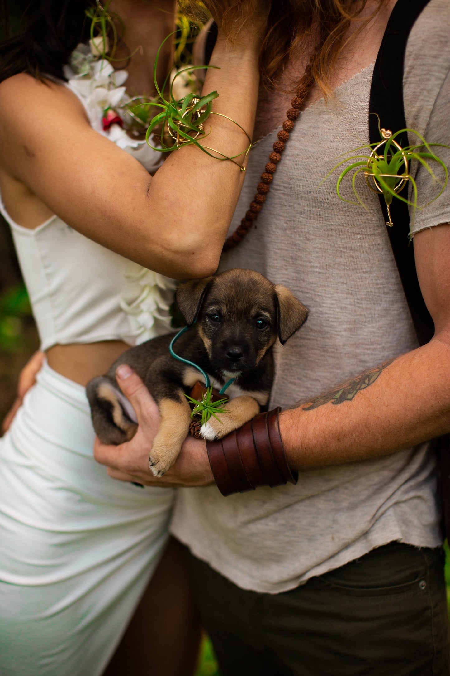 Living Air Plant Bolo Tie + Pinecone Charms