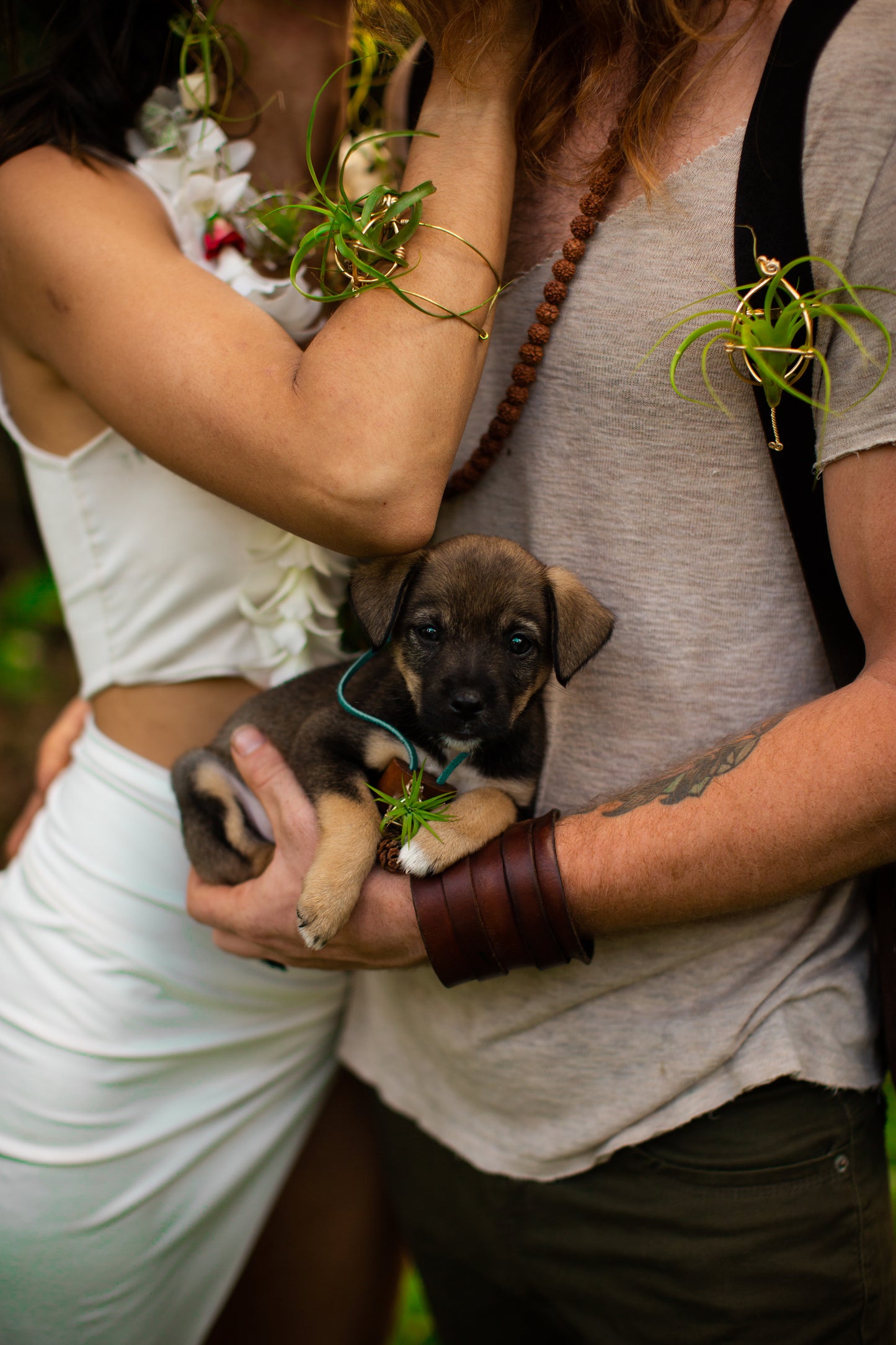 Men's Air Plant Boutonniere Suit Pin