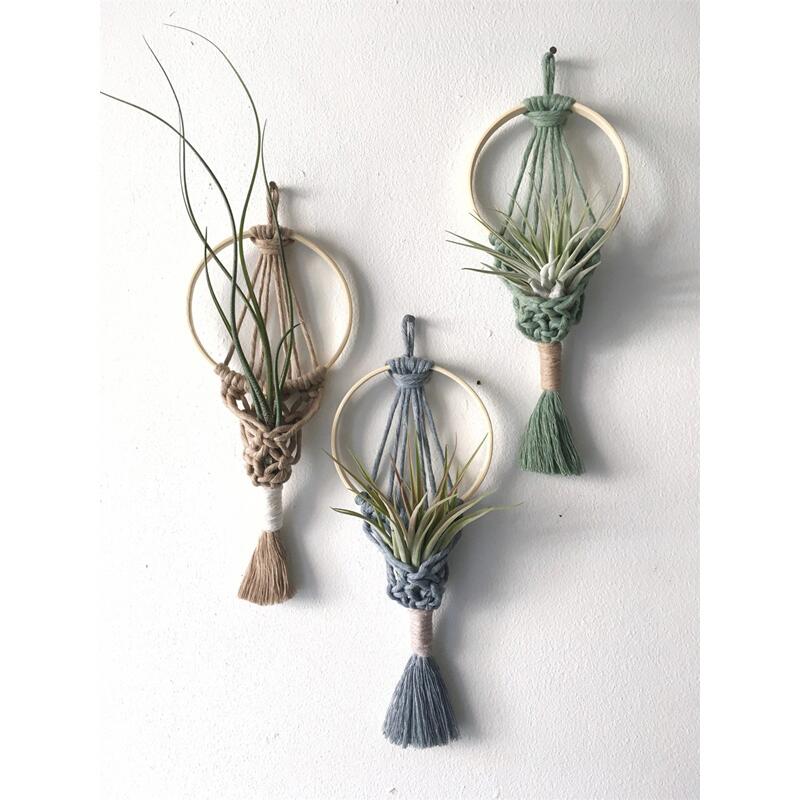 Haruko Bohemian Macrame Hanging Air Plant Holder