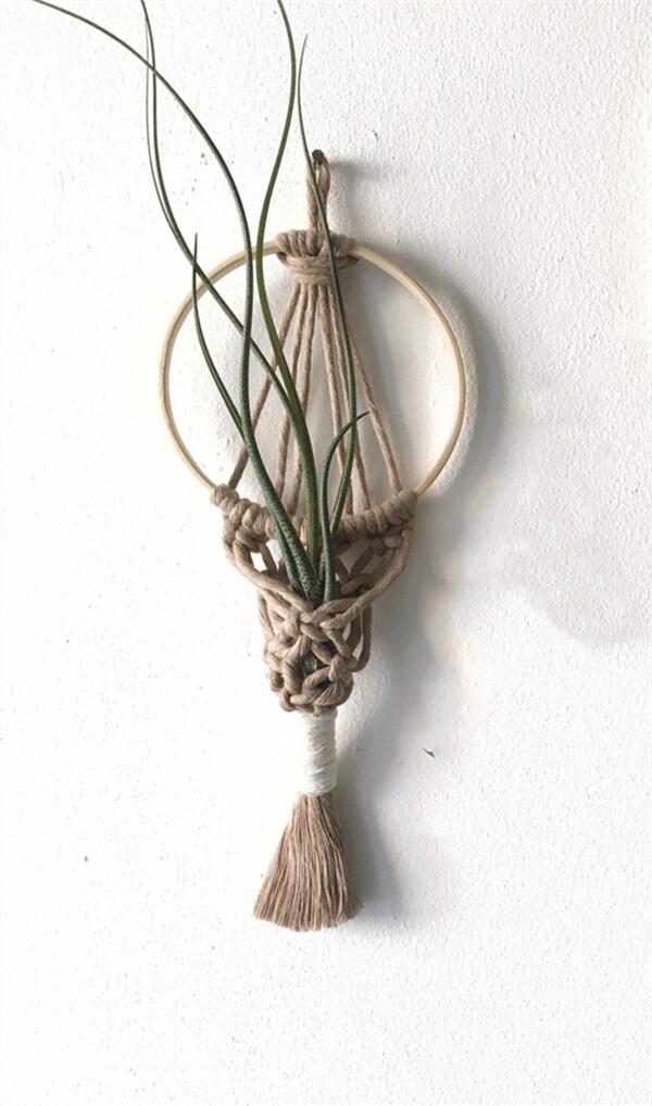 Haruko Bohemian Macrame Hanging Air Plant Holder