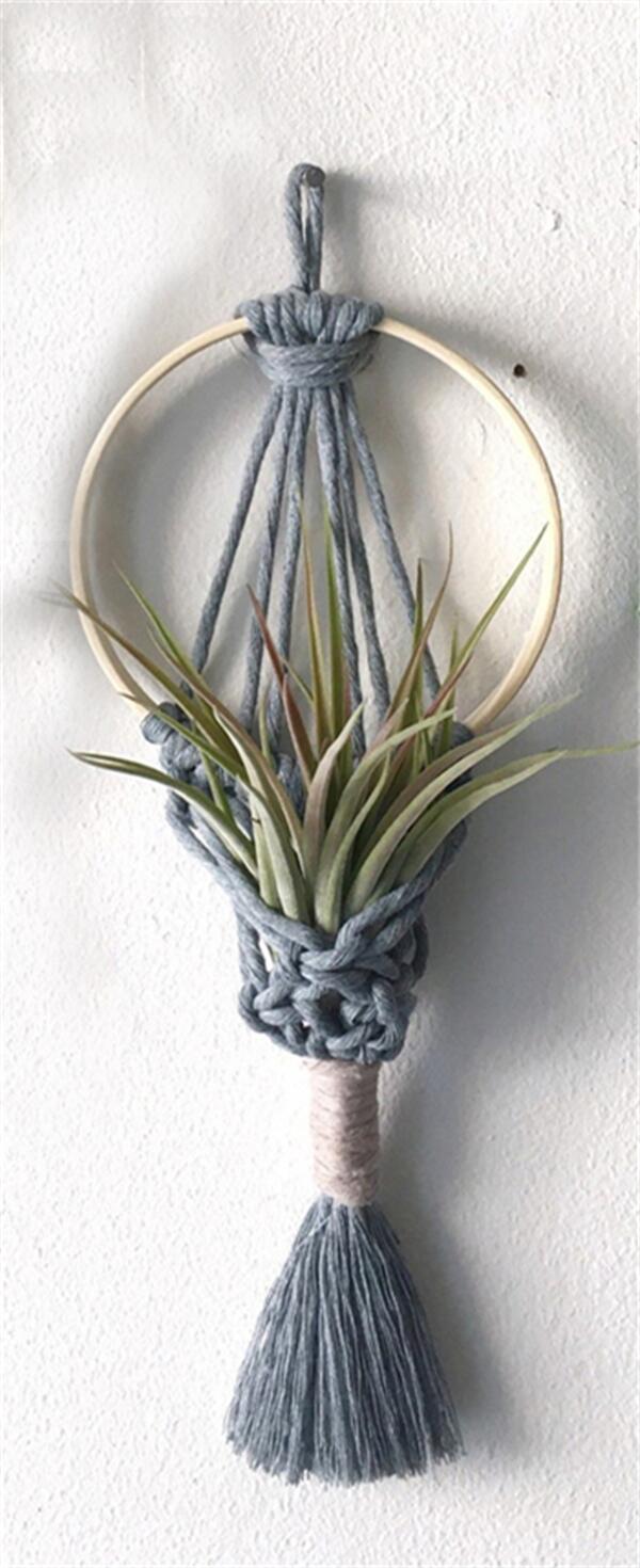 Haruko Bohemian Macrame Hanging Air Plant Holder