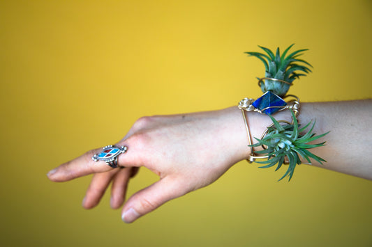 AirPlantNina Gift Card