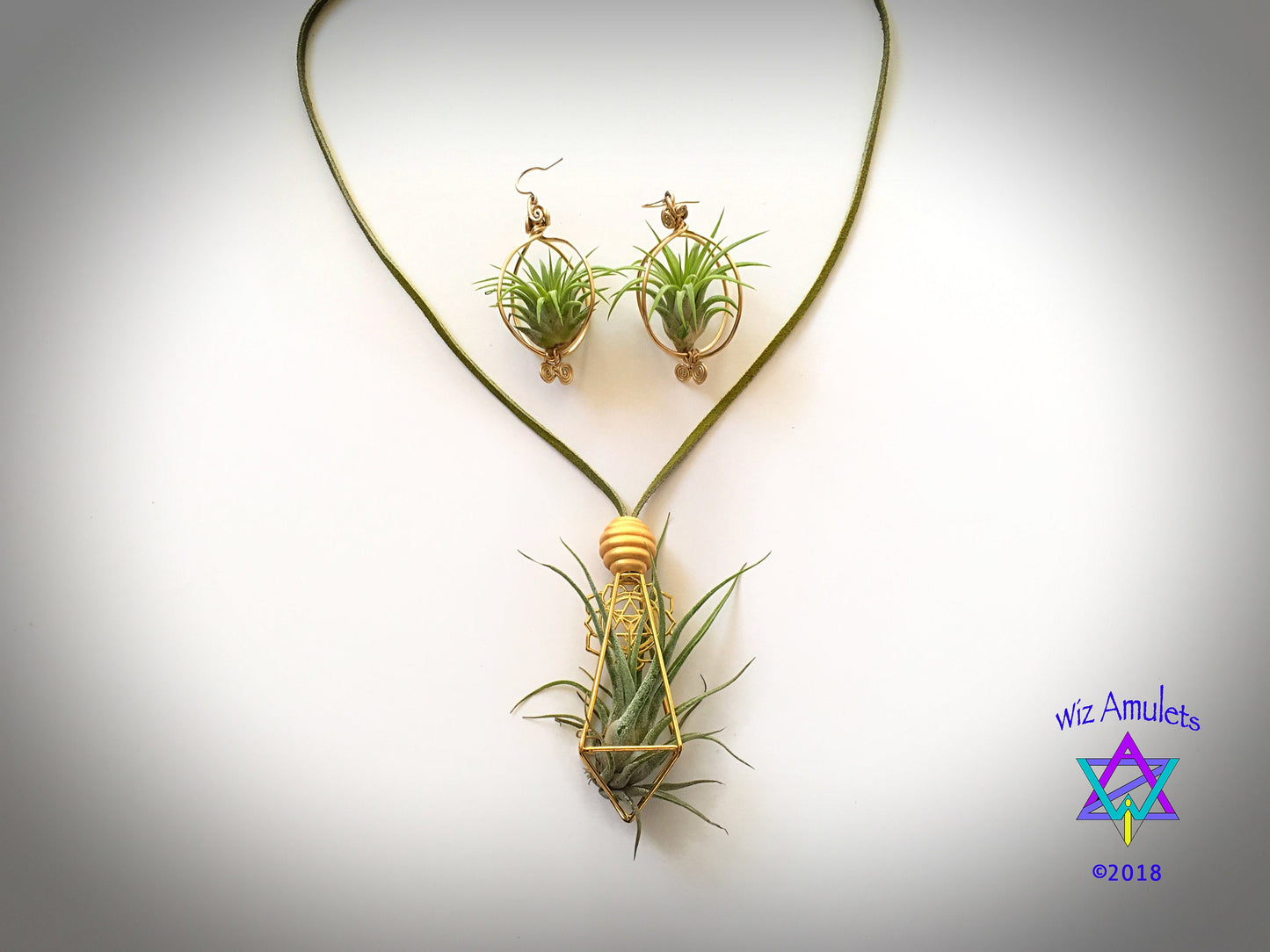 Air Plant Earrings & Necklace Set