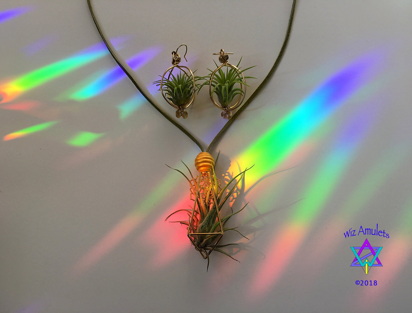 Air Plant Earrings & Necklace Set