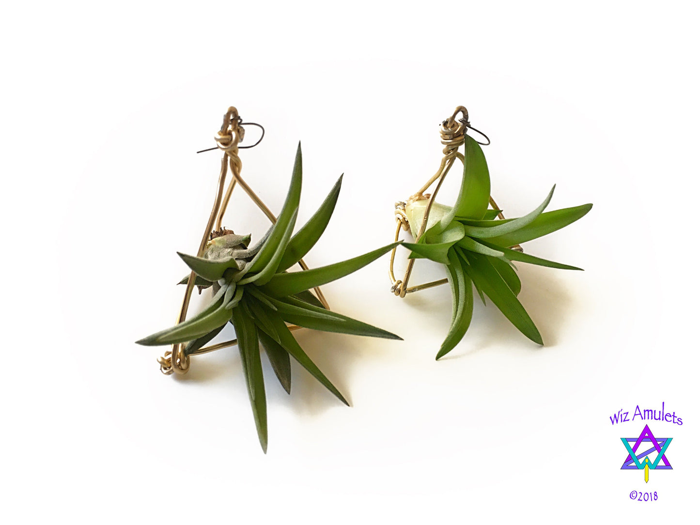 Air Plant Tetrahedron Pyramid Earrings ~ 3D Geometric