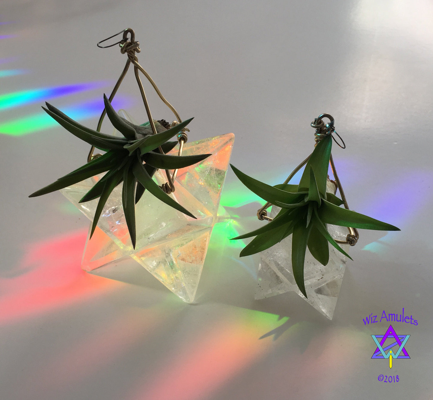 Air Plant Tetrahedron Pyramid Earrings ~ 3D Geometric