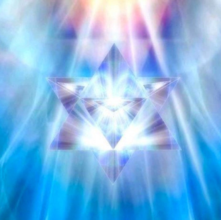 Merkaba Star & Octagon Air Plant Hoop Earrings ~ Geometric Hoops