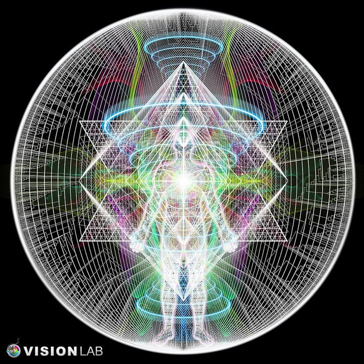 Merkaba Star & Octagon Air Plant Hoop Earrings ~ Geometric Hoops