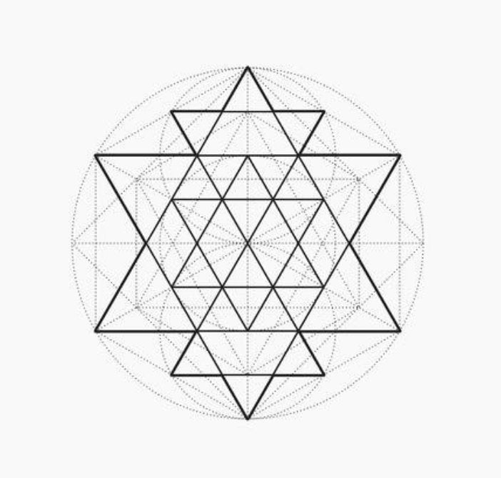 Triangular Air Plant Hoop Earrings ~ Geometric Tillandsia Earrings